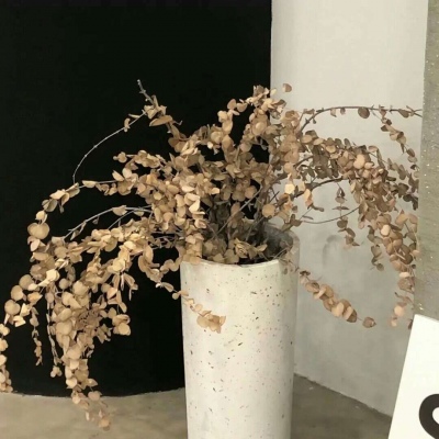 西安福瑞交流群